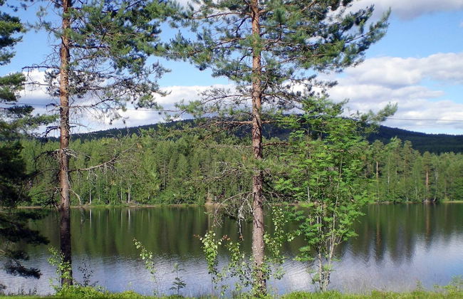 4 Person Holiday Home in Torsby-by Traum - Foto 7