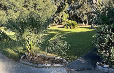 A Pearl Hidden Between Farms - Foto 29