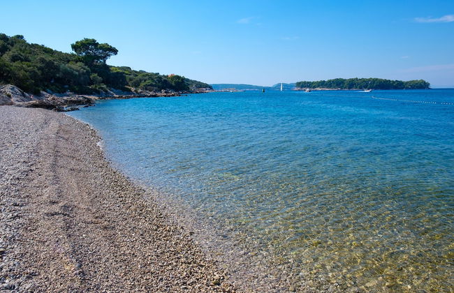 Apartment Filip - Photo 23