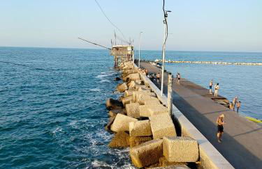 La Magnolia a 500mt dal mare - Foto 67