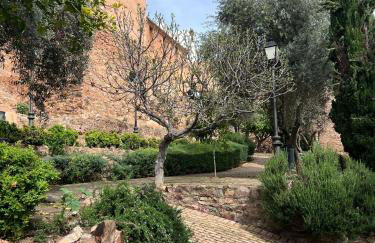 La Terraza de Consolación 17 - Foto 24