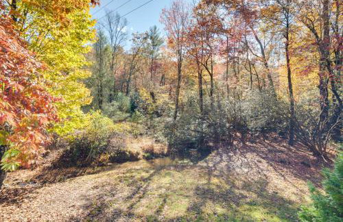Ultimate Relaxation & Adventure: Home Near Brevard - Foto 21