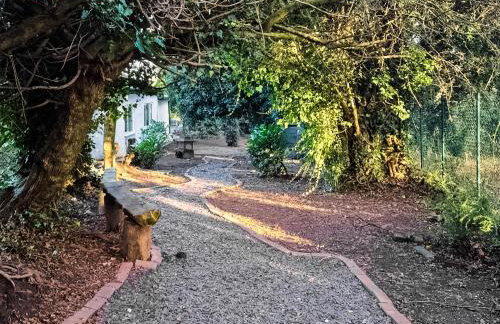 Forest View Cottage - Foto 21