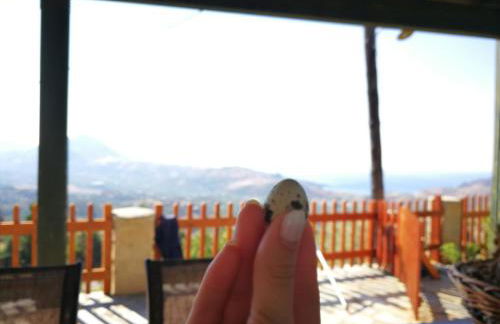 Arodamos Residence Mariou - Photo 25