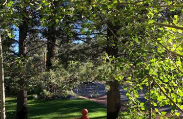 Tahoe Cottage perfect for couples and outdoor enthusiasts - Foto 39