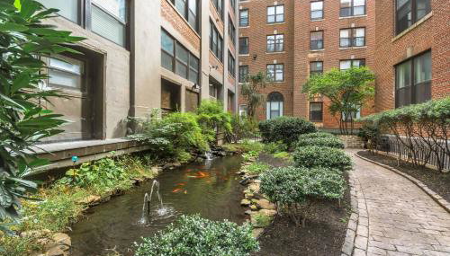 Broad Street Apartment - Foto 4, Garden, Garden view