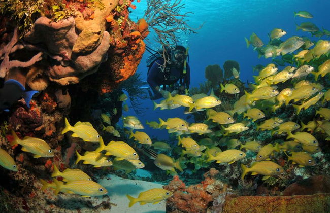 Bautismo de buceo en Búzios - Foto 6