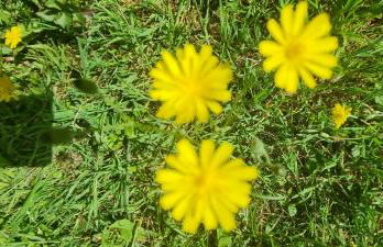 Ferienhaus Paul - Foto 28