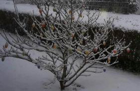 Ferienhaus Leja - Foto 18