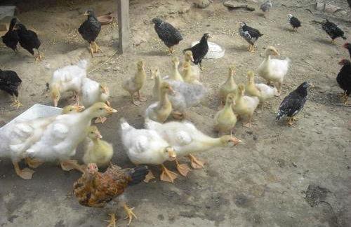 Agriturismo Biologico Villa Rosa - Photo 41