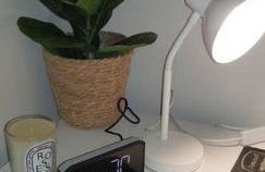 Bowie's Abode - Foto 16