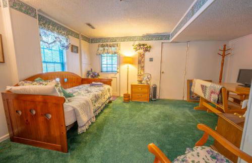 Martinsville Gem - Fireplace, Pets, Near the Park - Foto 26