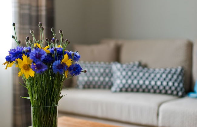 Palanga Visit apartaments - Photo 5