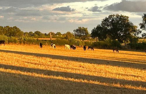 High Oak Holiday Cottage - Foto 4