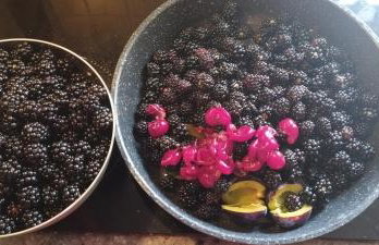 Górska Polana, Stronie Śląskie - Młynowiec - Foto 32