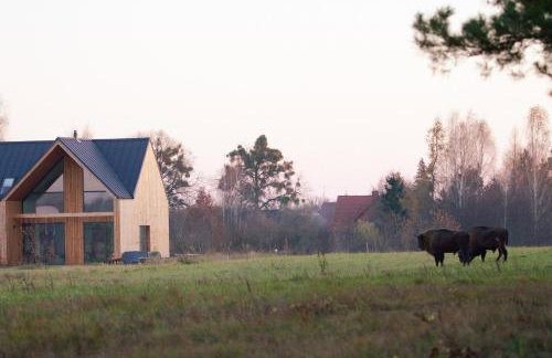 TATANKA Dom w Puszczy & SPA na Polanie - Foto 37