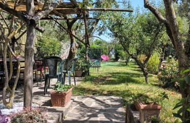 Amalfi Coast, Positano, Sorrento, Capri, Garden, Villa Carcara - Foto 6