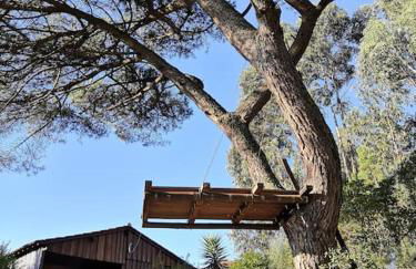 Pine Lodge - direct train to Porto - Foto 14