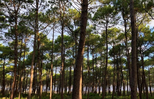 Apartment in Biscarrosse by the Beach - Foto 27