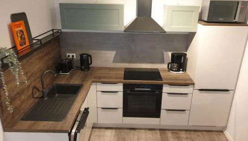 Appartement ComfortZone im Harz mit Sauna und Pool - Foto 4, stove, dishwasher, toaster