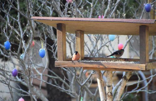 Ferienwohnung am Wald - Foto 23