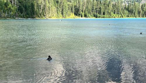 Mountain View Chalet at The Quarry - Sleeps 6! - Foto 4