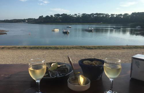 Charmant appartement 42m2 pour location de vacances Seignosse - Foto 9