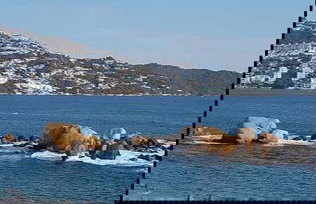 Paddle sur l'îlot El Morro - Photo 5