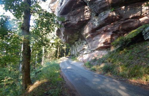 Le Petit Biscuit - Photo 1