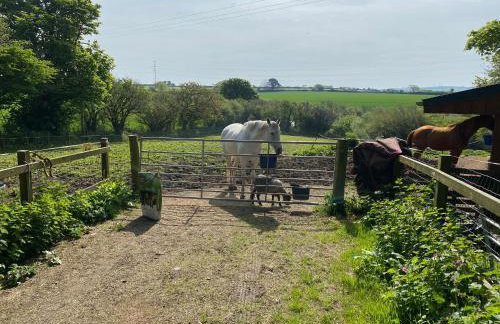 Higher Trewithen - Photo 46