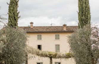 Dimora Buglioni Wine Relais - Foto 6