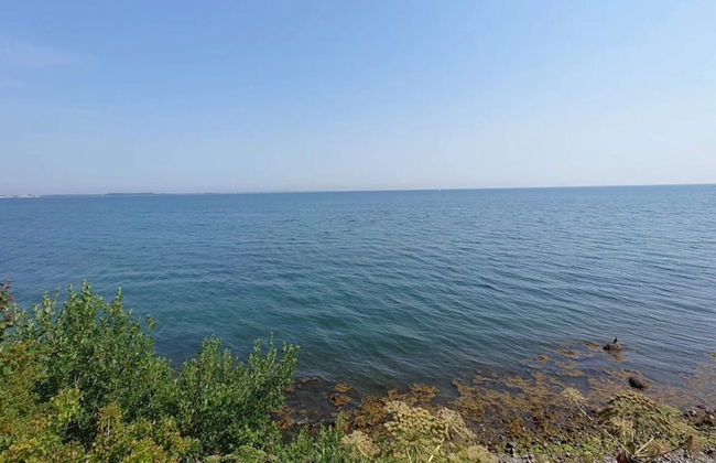 4 Person Holiday Home in Frorup - Photo 44