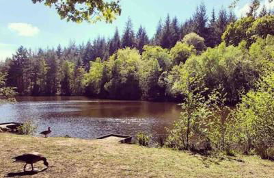 Summerhouse @ 73 (Forest of Dean) Gloucestershire - Foto 17