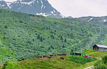 Le Cocon des Cîmes - Photo 16