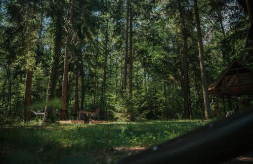 Forest Cabin - 50min od Warszawy - Foto 32