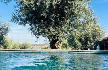 Montado Village - Foto 2