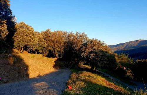 Magnifique villa au cœur des Cévennes - Foto 34