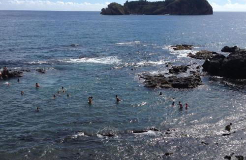 Blue House - Photo 19