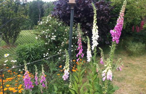 2 Ferienhäuser im Doppelpack für Naturliebhaber, strandnah, ruhig, mit großen Gärten - Foto 40