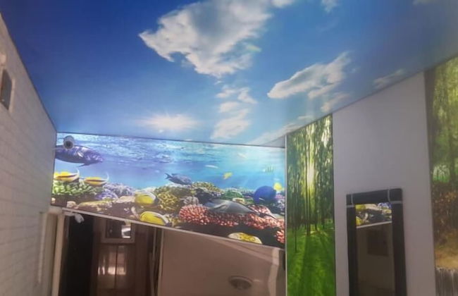 Konsept Cankaya - Foto 37