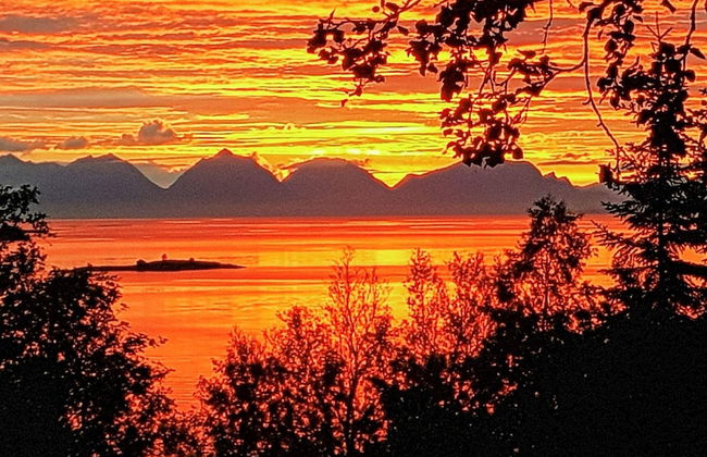 6 Person Holiday Home in Hamnvik - Foto 28