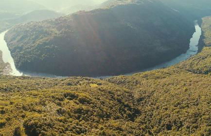 Cabana nas Nuvens - Foto 48