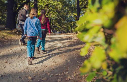 Ferienpark Bad Sonnenland - Foto 34