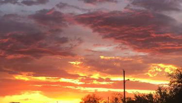 1900s Miner's cabin behind Tombstone Brewery - Foto 4
