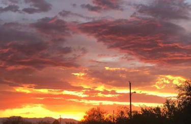1900s Miner's cabin behind Tombstone Brewery - Foto 4