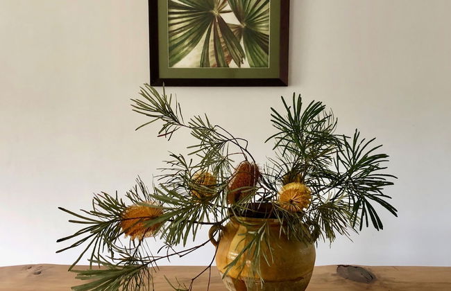 Haven Tropicana - Foto 14