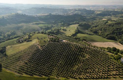 Agriturismo Serena -Petritoli- - Foto 9