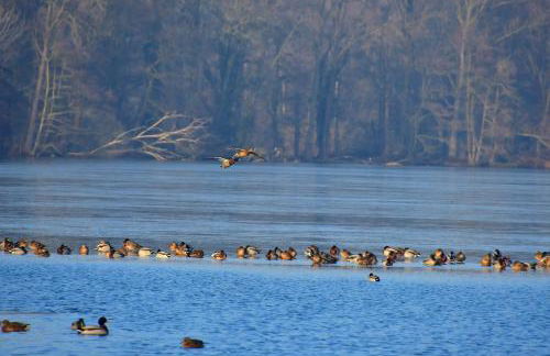 Ferienhaus Burgblick Brueggen - Foto 42