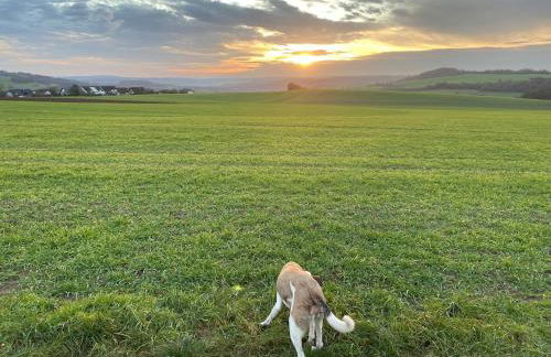 Panorama-Auszeit in Trierweiler - Foto 31
