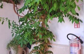 Villetta Stardust a 5 min a piedi dal mare - Foto 25